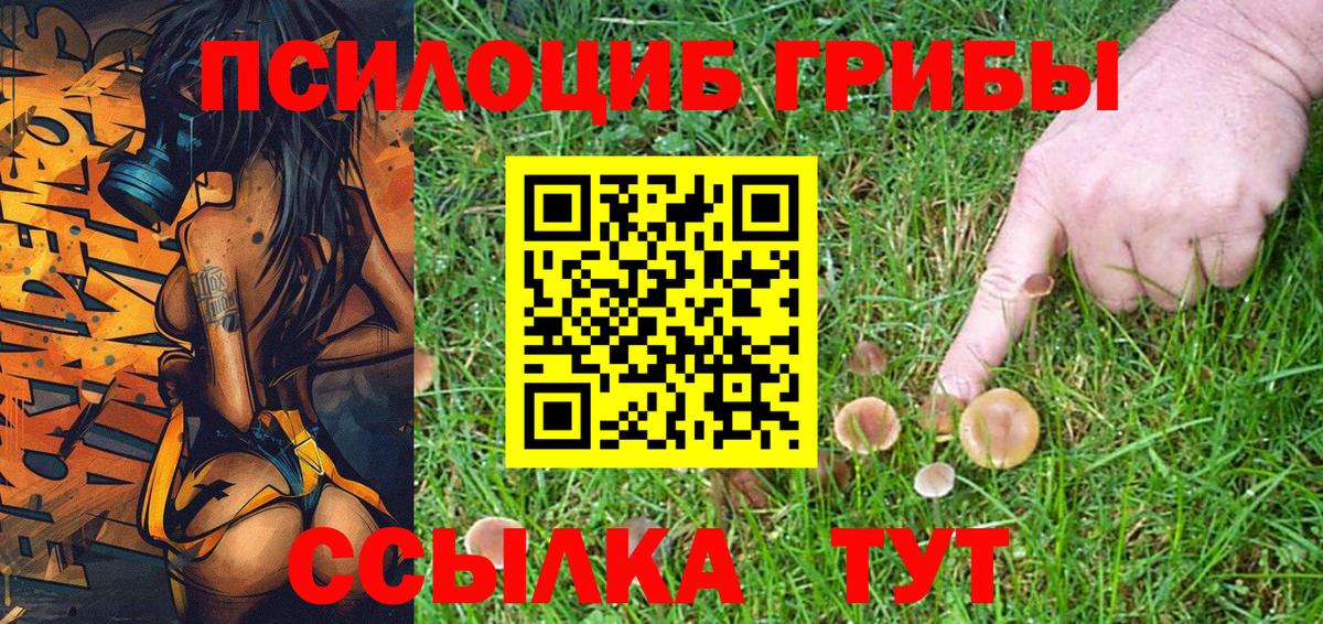 Псилоцибиновые грибы прущие грибы Кинель