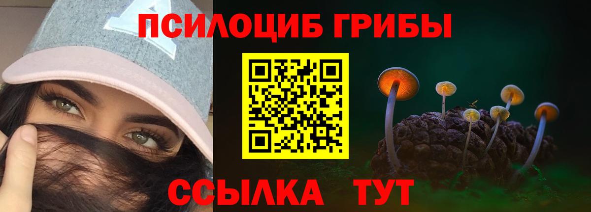 Кинель  Псилоцибиновые грибы мухоморы  Вход с VPN  Галлюциногенные грибы Psilocybine cubensis 