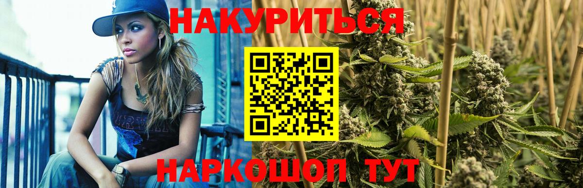 Каннабис гибрид  Каннабис планчик  Бошки Шишки гибрид  Кинель  Бошки Шишки MAZAR  Вход с VPN 